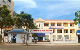 Công ty CP ACC 244